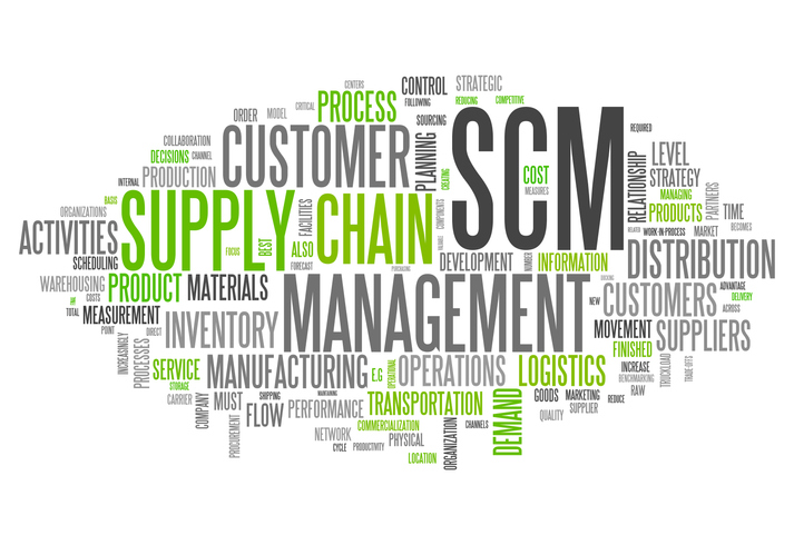 Supply Chain at Executive Committee level is crucial